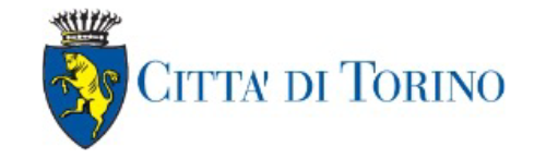 Comune Torino (COTO)